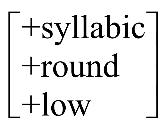 Feature matrix with +syllabic, +round, +low